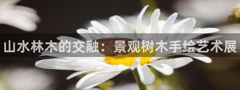 关于新宝GG:山水林木的交融:景观树木手绘艺术展