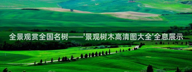 新宝gg主管花木兰:全景观赏全国名树——\'景观树木高清图大全\'全息展示