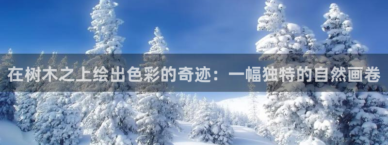 新宝gg辅助:在树木之上绘出色彩的奇迹:一幅独特的自然画卷