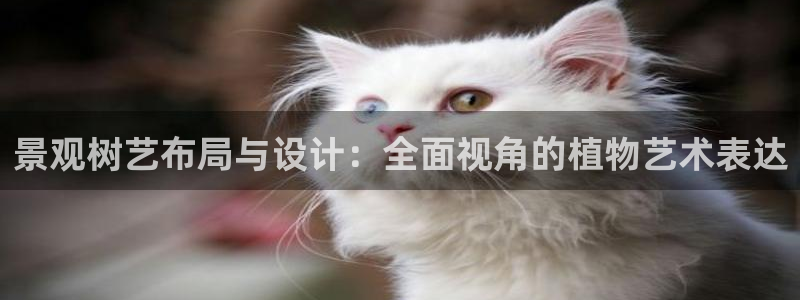 新宝gg创造奇迹:景观树艺布局与设计:全面视角的植物艺术表达